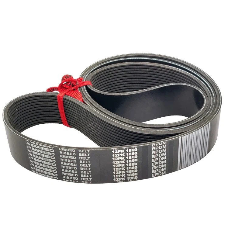 Poly Rib Belt